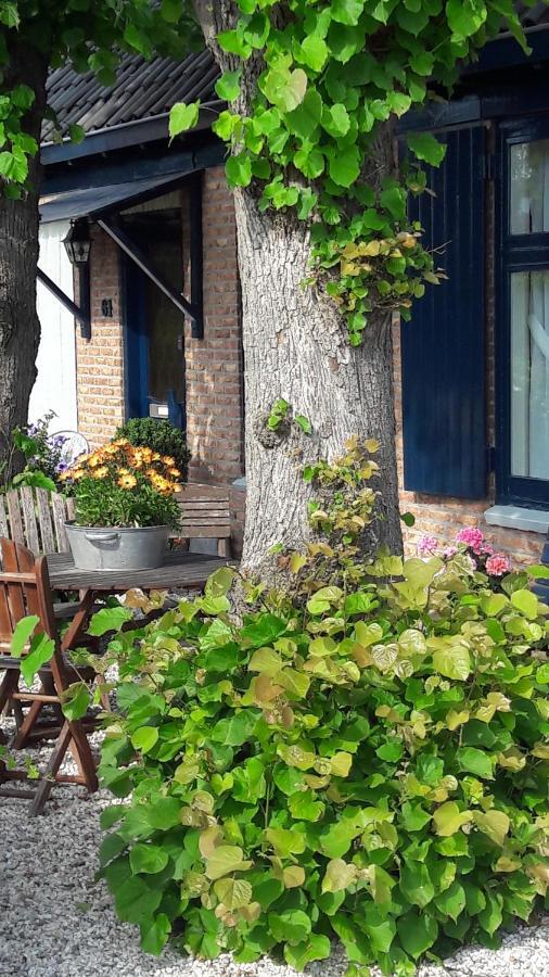 Huis De Roos De Kwakel Ngoại thất bức ảnh